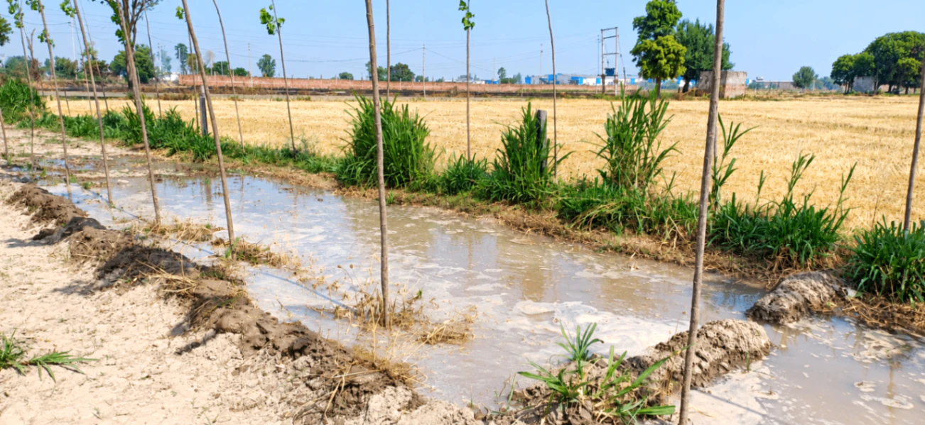 Jalalpur 1, Panipat, Haryana 132104, India