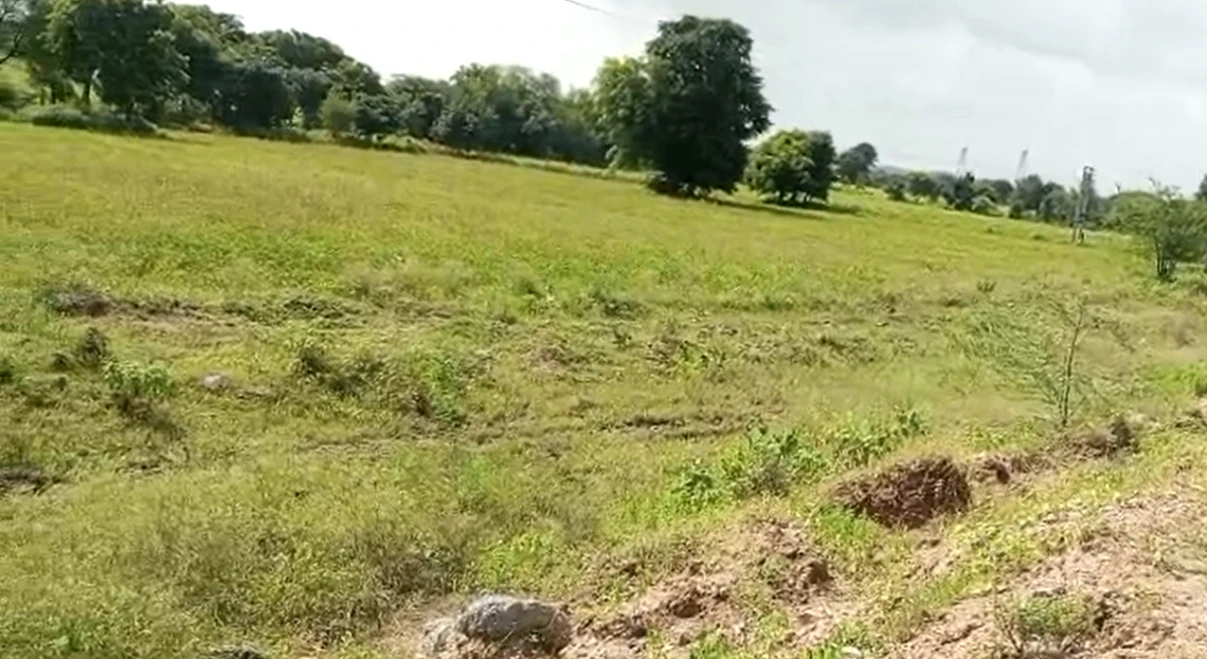 Srinagar, Mahoba, Uttar Pradesh 210433, India