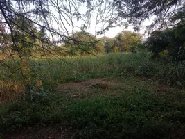 Jaleri, Rajasthan, India preview 3