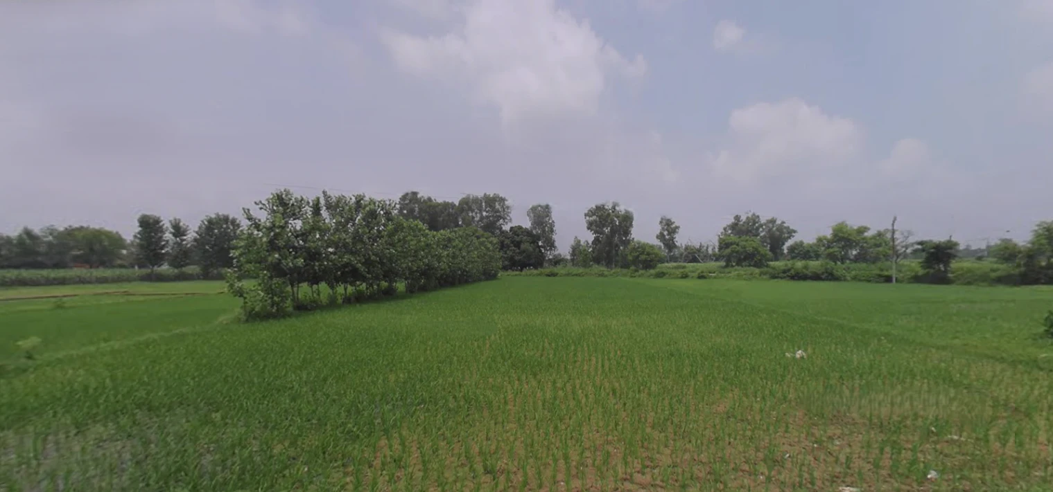 Bhagwanpur, Uttarakhand 247661, India