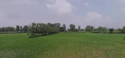 Bhagwanpur, Uttarakhand 247661, India preview 3