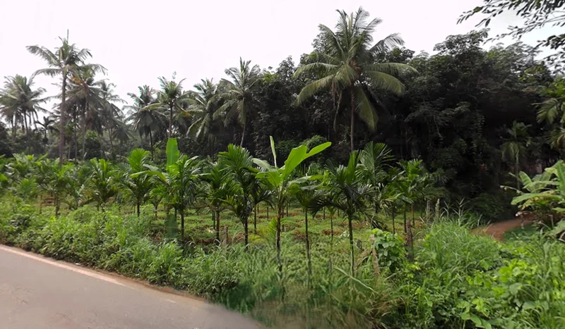 Belthangady, Karnataka 574214, India preview 2