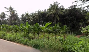 Belthangady, Karnataka 574214, India preview 2