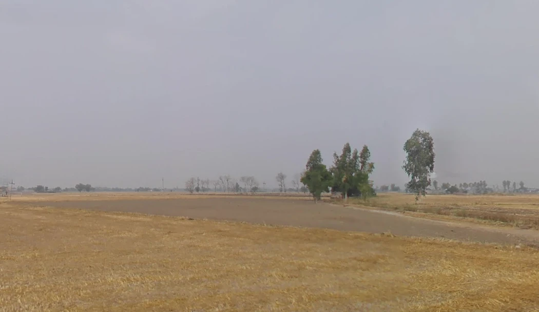 Devigarh Rd, Sunny Enclave, Raymajra, Punjab 147103, India