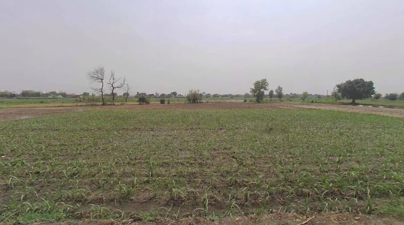 Modinagar, Uttar Pradesh, India preview 3