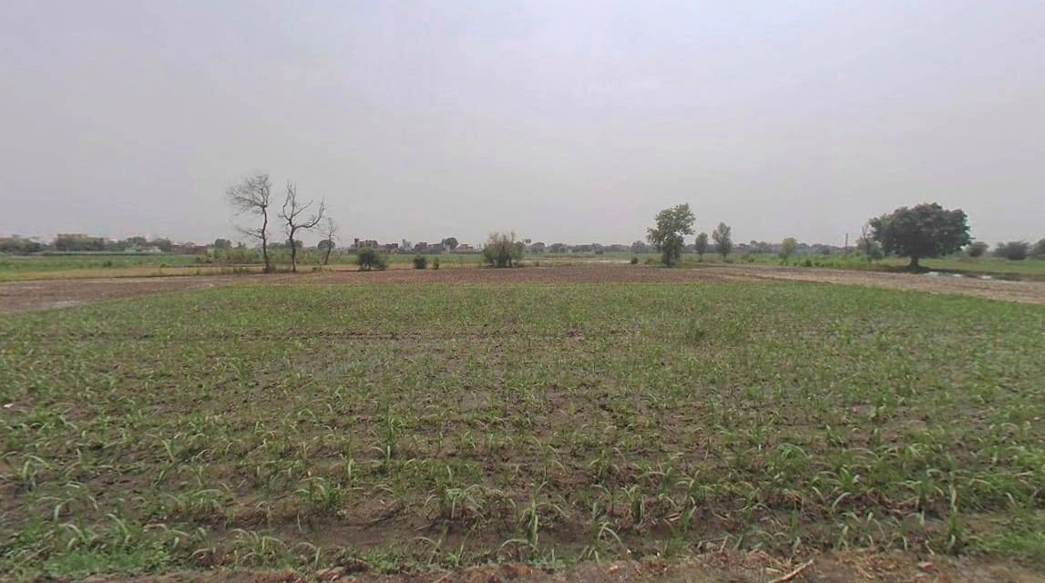 Modinagar, Uttar Pradesh, India