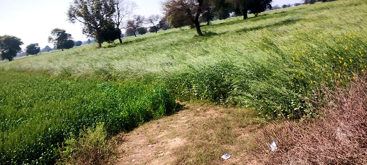 Imlali, Rajasthan, India