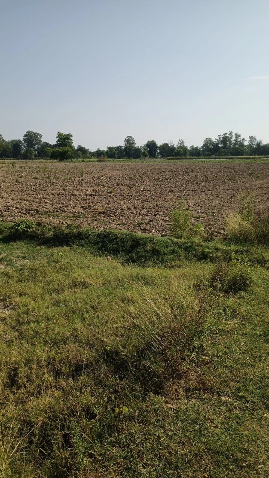 Sheikhpura, Haryana 131101, India preview 3