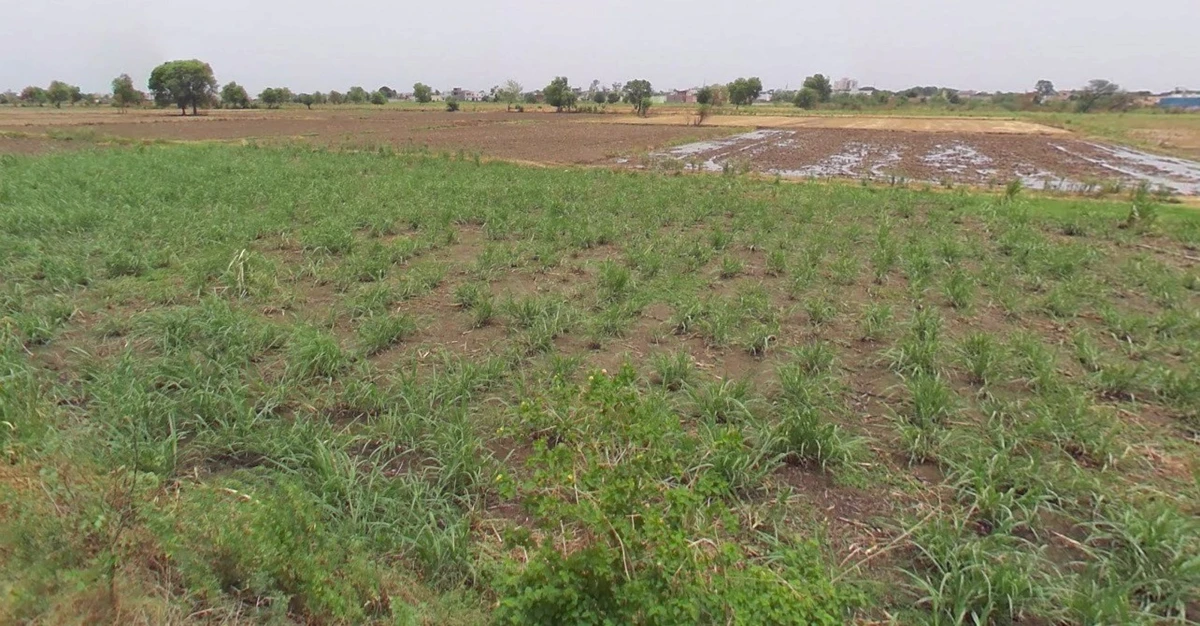 Seoni, Madhya Pradesh 480661, India