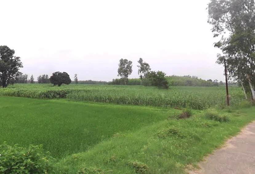 Bhagwanpur, Uttarakhand 247661, India