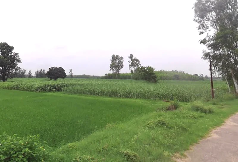 Bhagwanpur, Uttarakhand 247661, India preview 2