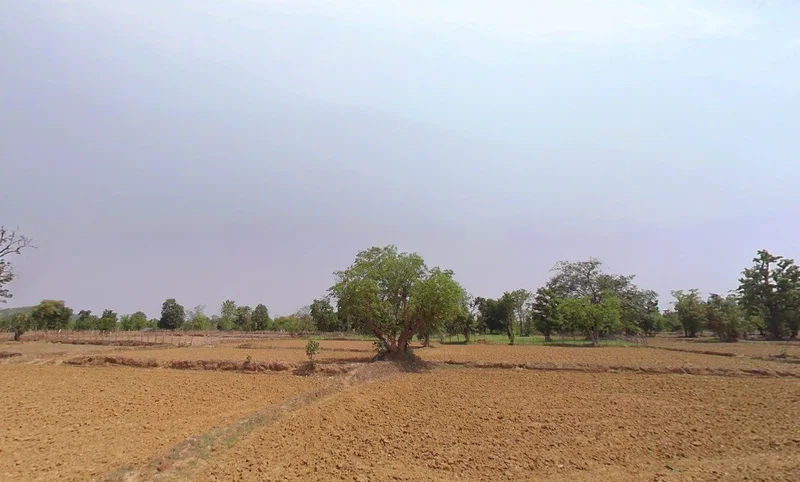 Khargahni, Chhattisgarh, India preview 2