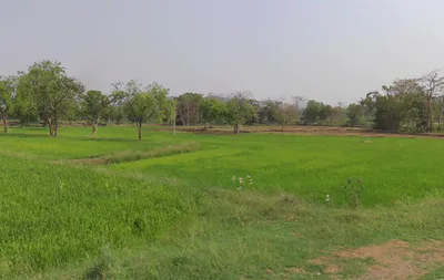 Tama Seoni, Chhattisgarh 493661, India preview 2