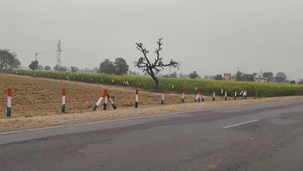 Barodameo, Rajasthan 301021, India