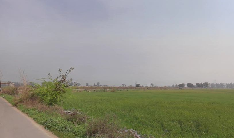 Tihar, Haryana 131301, India