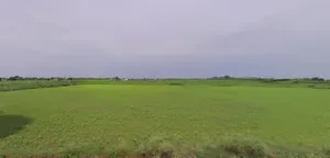 Ghasoi, Madhya Pradesh 458888, India preview 3