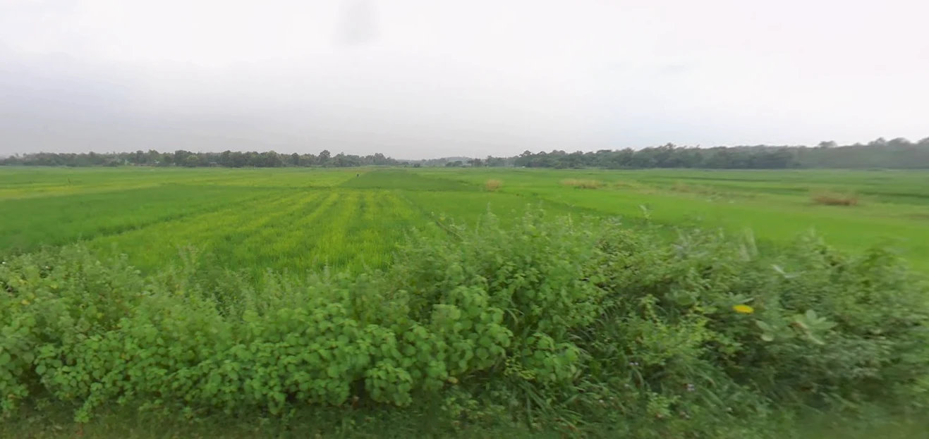 Redhakhol, Odisha 768106, India