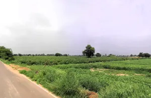 Siwani, Haryana 127046, India preview 3