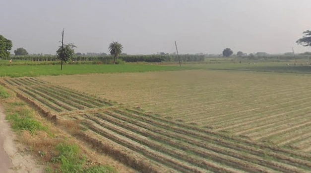 Garh Mukteshwar, Uttar Pradesh 245205, India