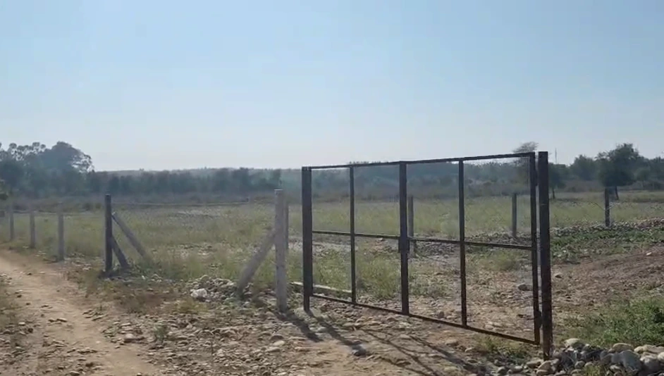Pojewal, Punjab 144524, India