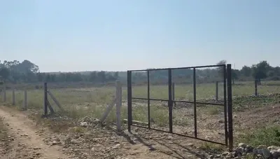 Pojewal, Punjab 144524, India preview 4