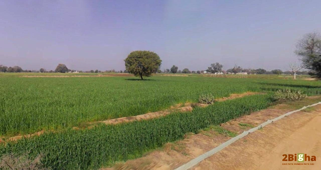 Bagru, Haryana, India