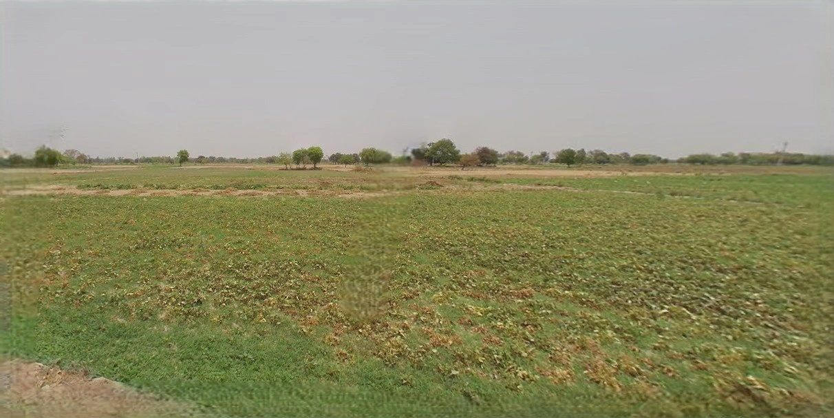 Sri Ganganagar, Rajasthan, India