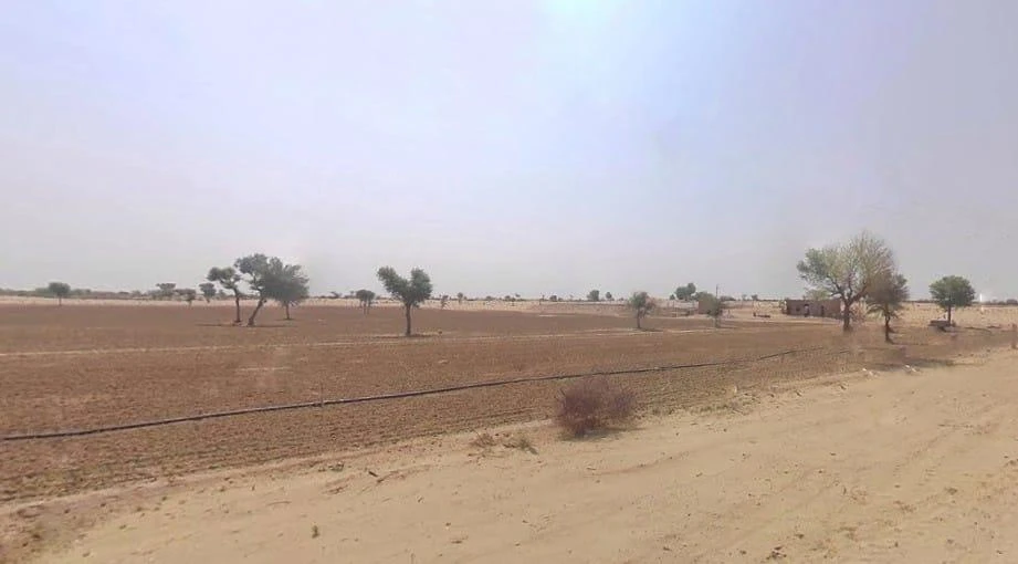 Kolayat, Rajasthan 334302, India