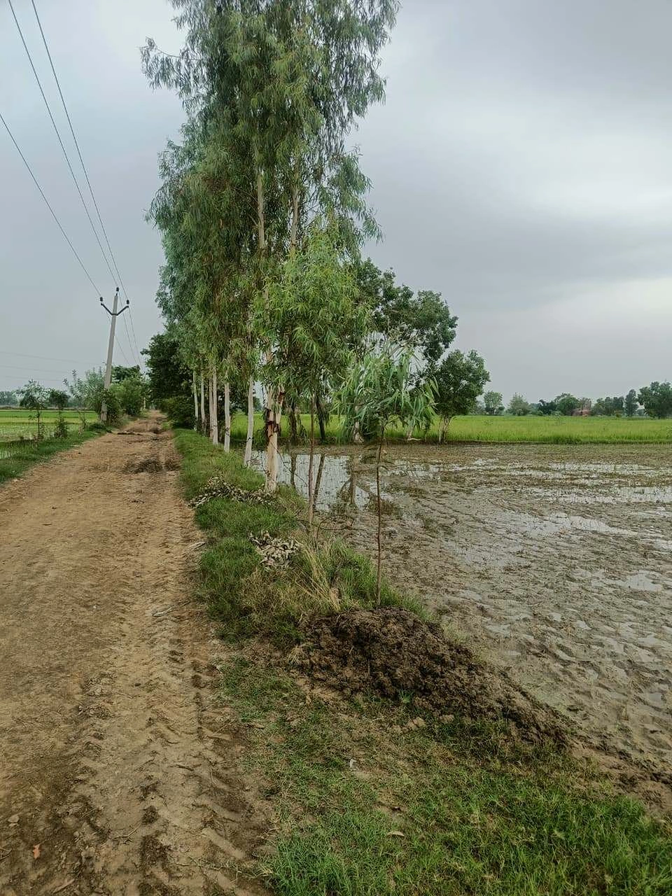 Bukharari, Mathura, Uttar Pradesh, India