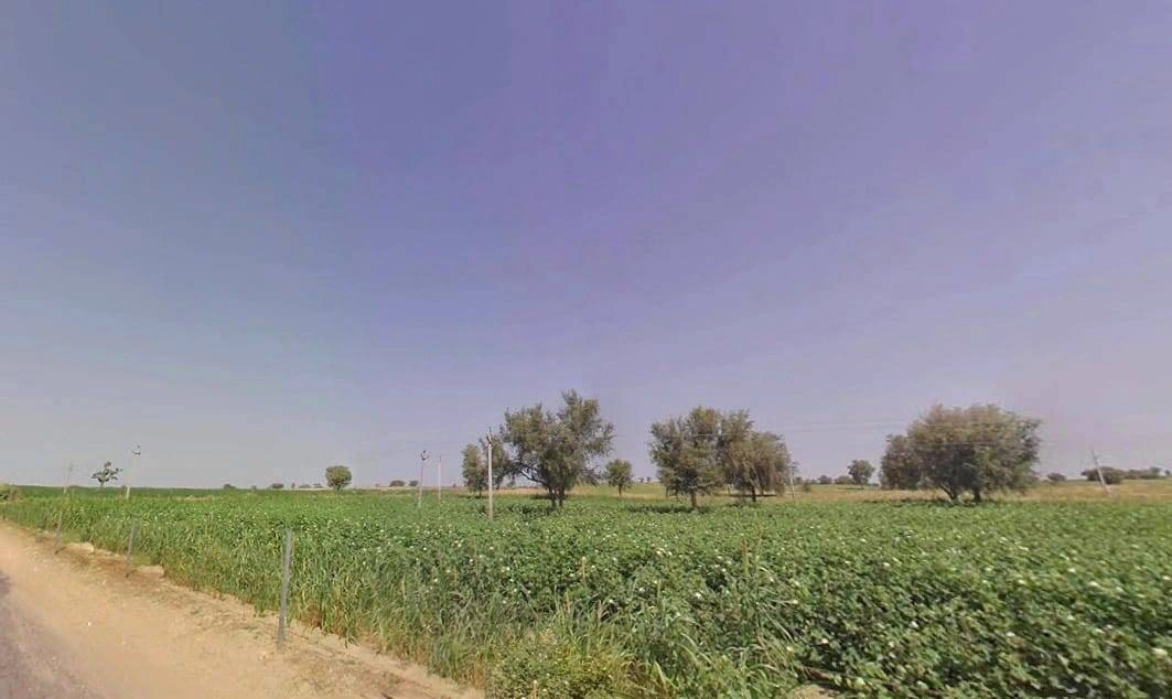 Arjansar, Rajasthan 334604, India