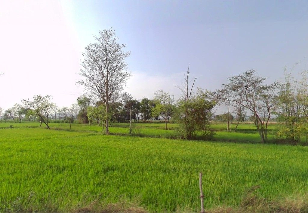 Rengadabri, Chhattisgarh, India