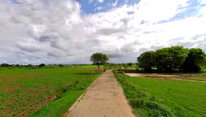 Mathura, Uttar Pradesh, India preview 3