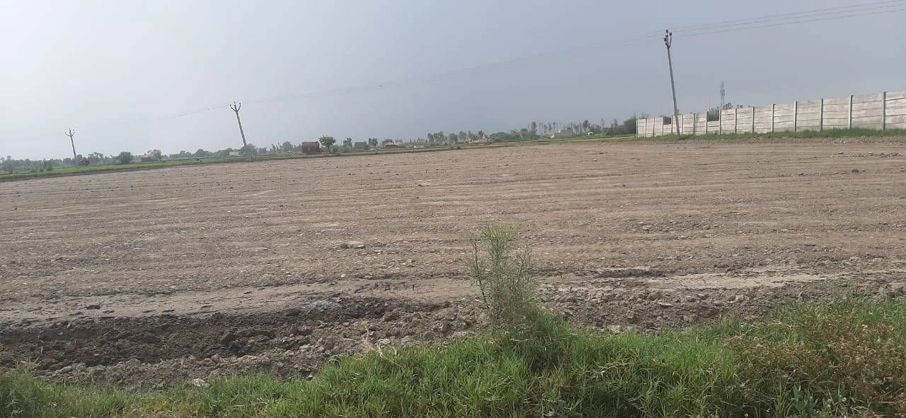 Bathain Kalan, Uttar Pradesh 281403, India preview 4