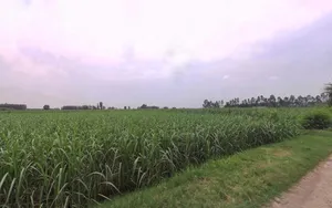 Ghatayan Uttri, Uttar Pradesh, India preview 2