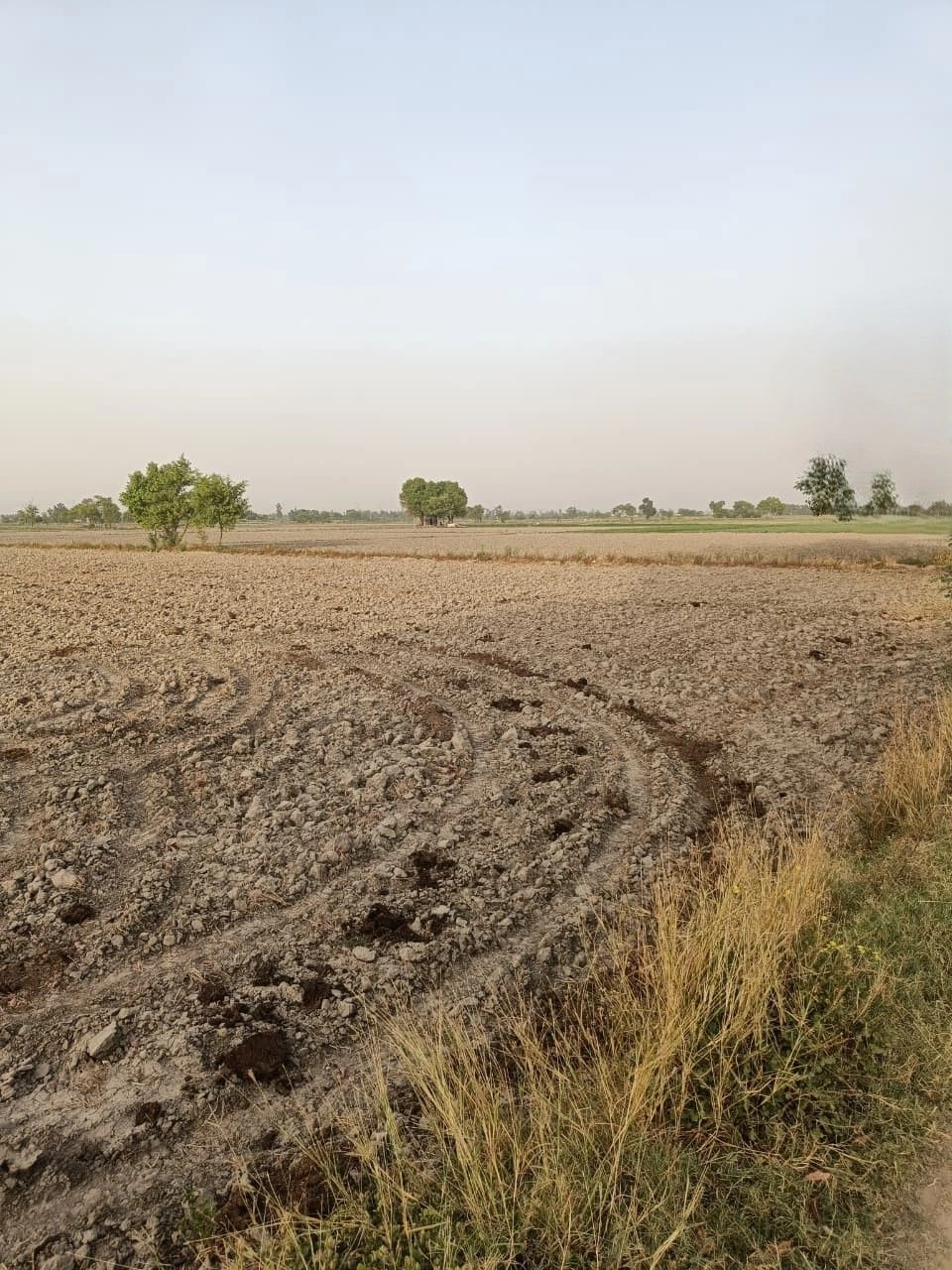 Dhoolpuri, Rajasthan, India
