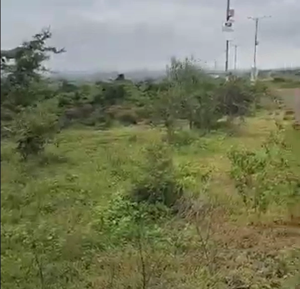 5F47+96V, Khal Bujurg, Madhya Pradesh, India