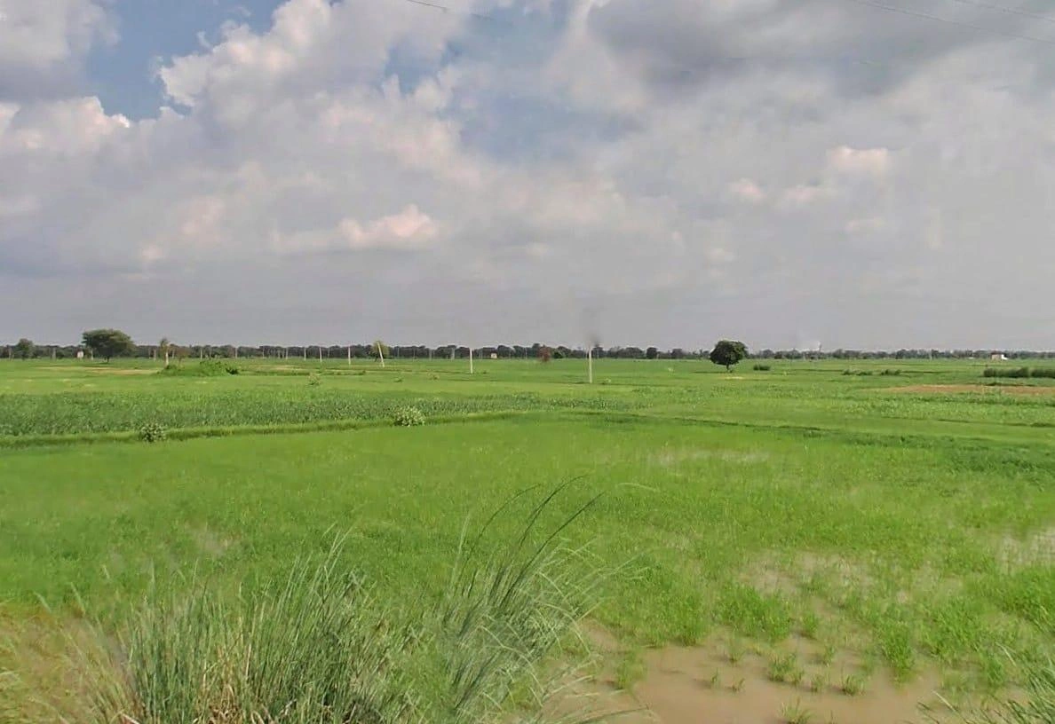 25CH+PR7, Bharatpur Rd, Weir, Rajasthan 321408, India