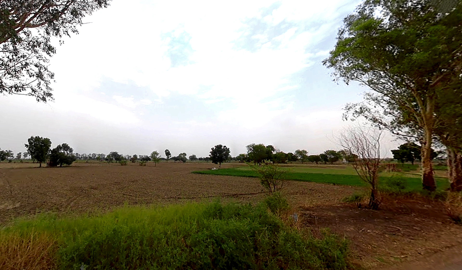 Gohana, Haryana 131301, India