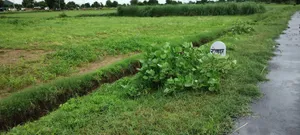 Ronpur, Rajasthan, India preview 2