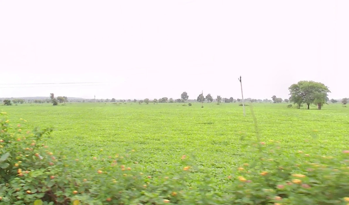 Karkeli, Madhya Pradesh 484661, India