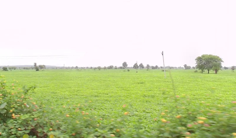 Karkeli, Madhya Pradesh 484661, India preview 2