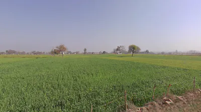 Barodameo, Rajasthan 301021, India preview 2