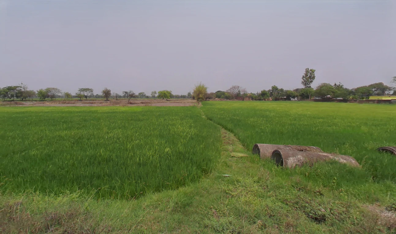 Changori, Chhattisgarh 491001, India