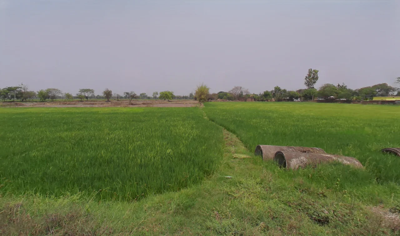 Changori, Chhattisgarh 491001, India preview 3