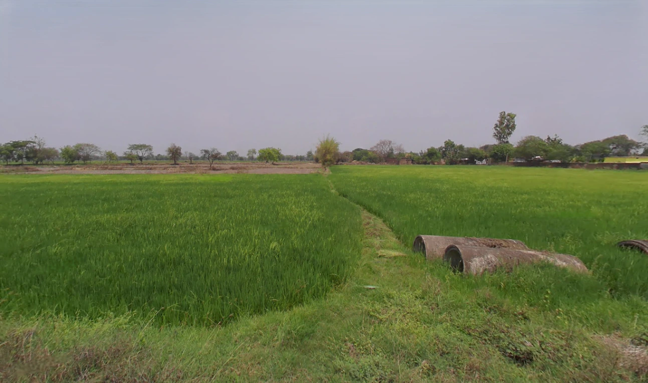 Changori, Chhattisgarh 491001, India