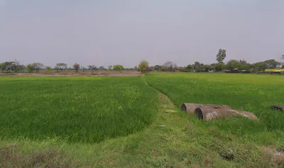 Changori, Chhattisgarh 491001, India preview 3