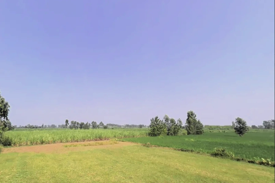 Bilaspur Kalan, Haryana 122413, India preview 2