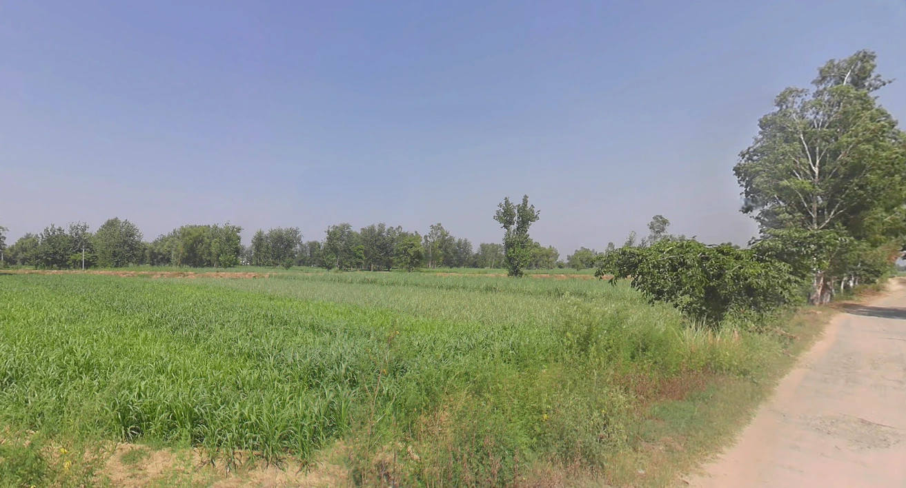 Moradabad, Uttar Pradesh, India