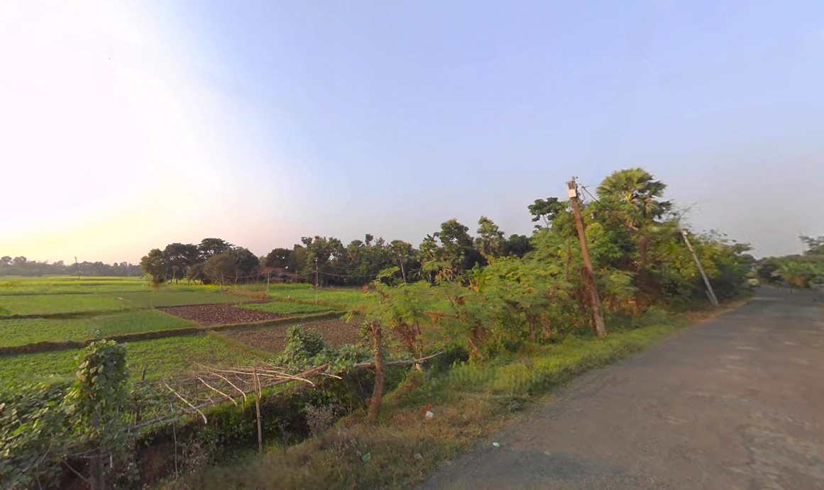 Birohi, Shitalatala, West Bengal 741245, India