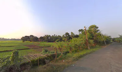 Birohi, Shitalatala, West Bengal 741245, India preview 3